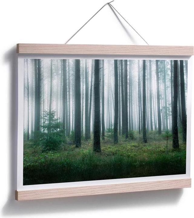 Actual product image Trenddeko In the forest (100 x 80 cm)