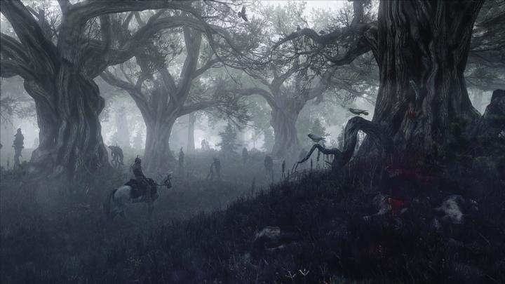 Image du produit The Witcher 3 : Wild Hunt