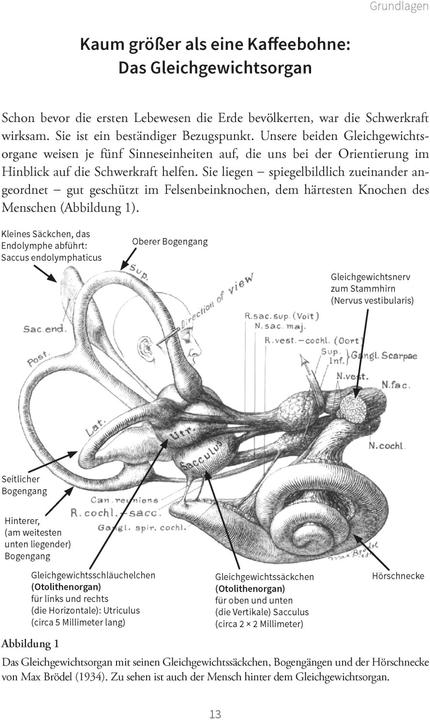 Actual product image Hilfe bei Schwindel (German, Helmut Schaaf, 2021)