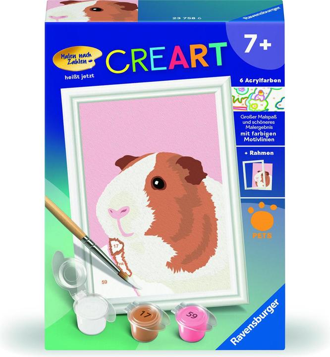Immagine prodotto Ravensburger Dipingere con i numeri 23758 - Simpatico porcellino d'India - Bambini dai 7 anni in su