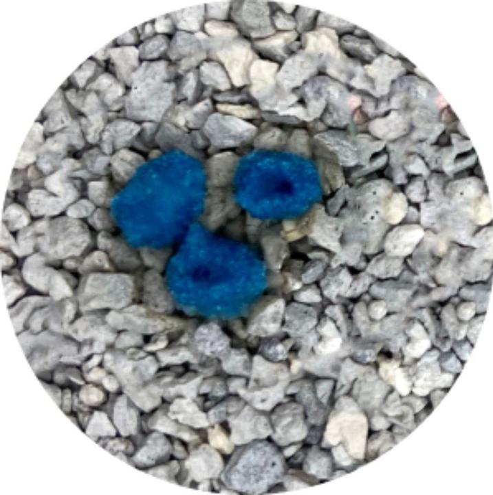 Actual product image Intersand Odour Lock MaxCare (Clumping, 12 kg)