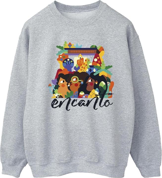 Produktbild Disney Encanto Sisters Sweatshirt (L)
