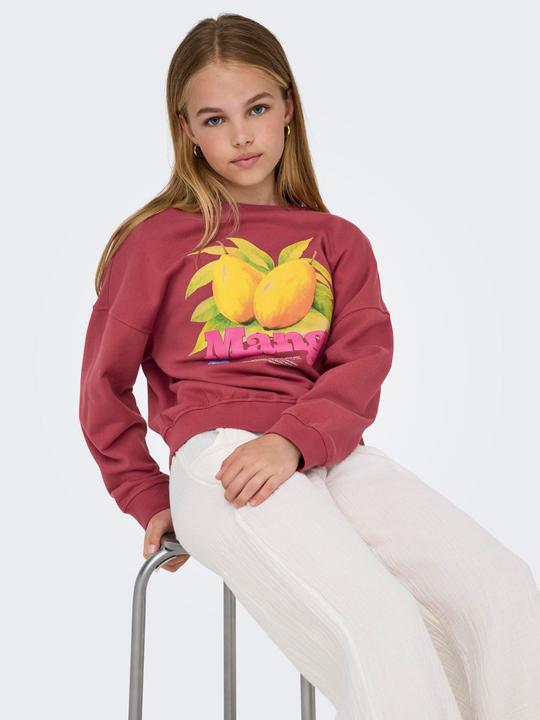 Produktbild Only KOGPHILEA Sweatshirt Sweatshirt (122)