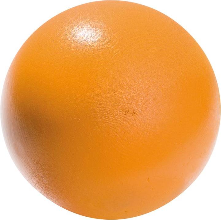 Actual product image Tanga Sports ® Stosskugel (6000 g)