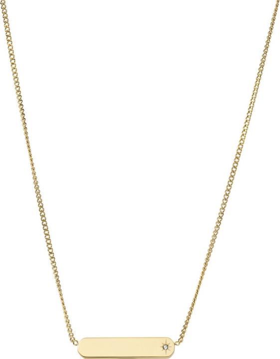 Actual product image Fossil Drew Necklace (Stainless steel)