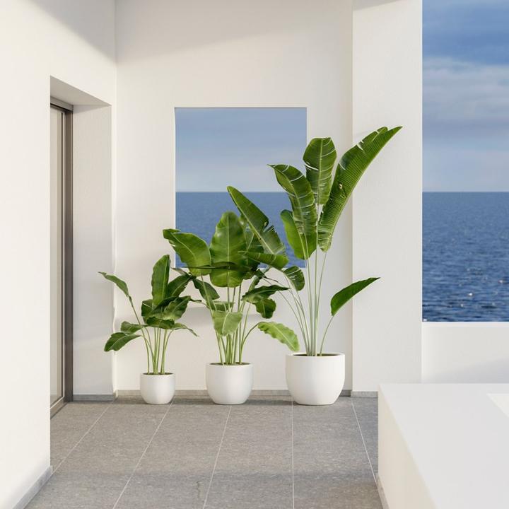 Actual product image Newgarden AZALEA 40 flower pot large round ø40x33cm white 20L with water reservoir outdoor