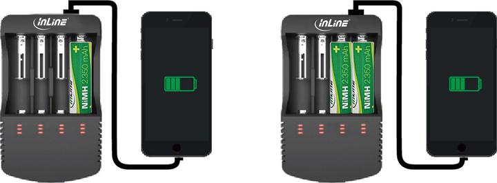 Actual product image InLine 01287L (1 pcs., A, C, AAAA, AA, AAA, Chargers without battery)