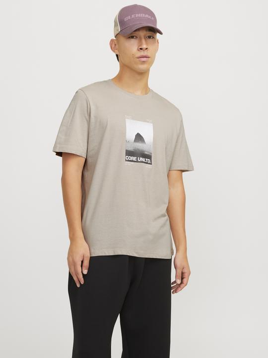 Actual product image Jack & Jones Printed round neck T-shirt T-shirt (M)