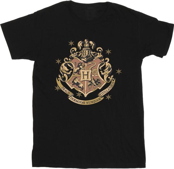 Image du produit - T-shirt GOLD HOGWART CREST - Homme (4XL)