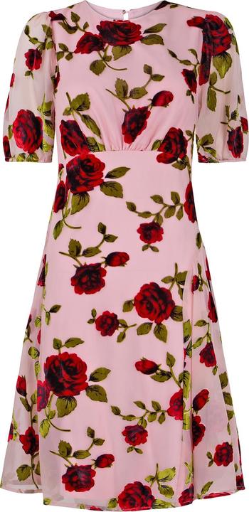 Produktbild Joe Browns Vintage Inspired Devore Rose Mini Dress (16)