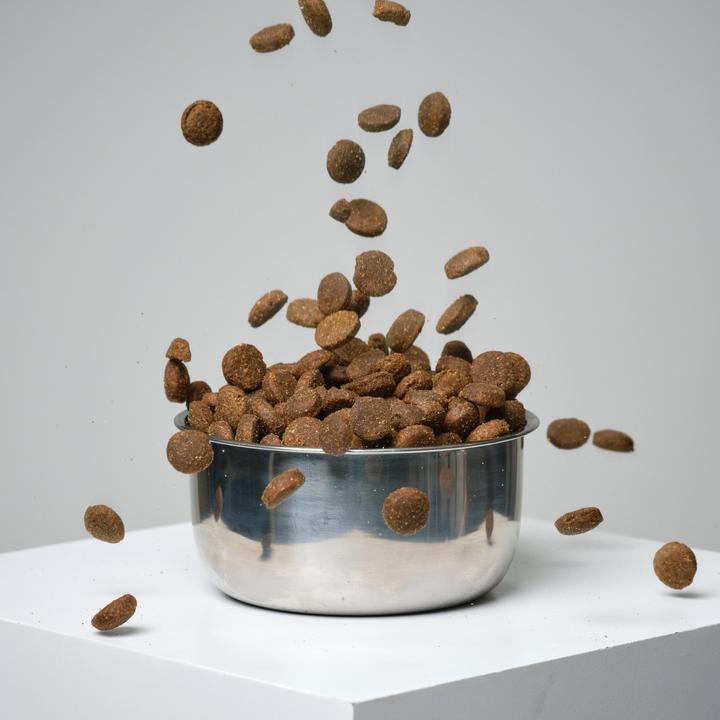 Image du produit Solognac 345815 (Adulte, 1 pcs, 12000 g)