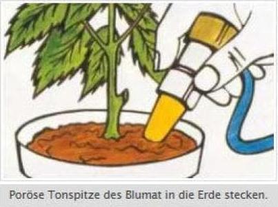 Image du produit Blumat Goutteur final XL (Cône d'argile)
