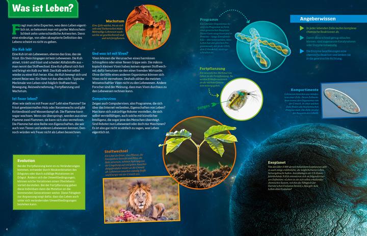 Produktbild Tessloff WAS IST WAS Abenteuer Evolution. Das Wunder des Lebens (Deutsch, Manfred Baur, 2020)