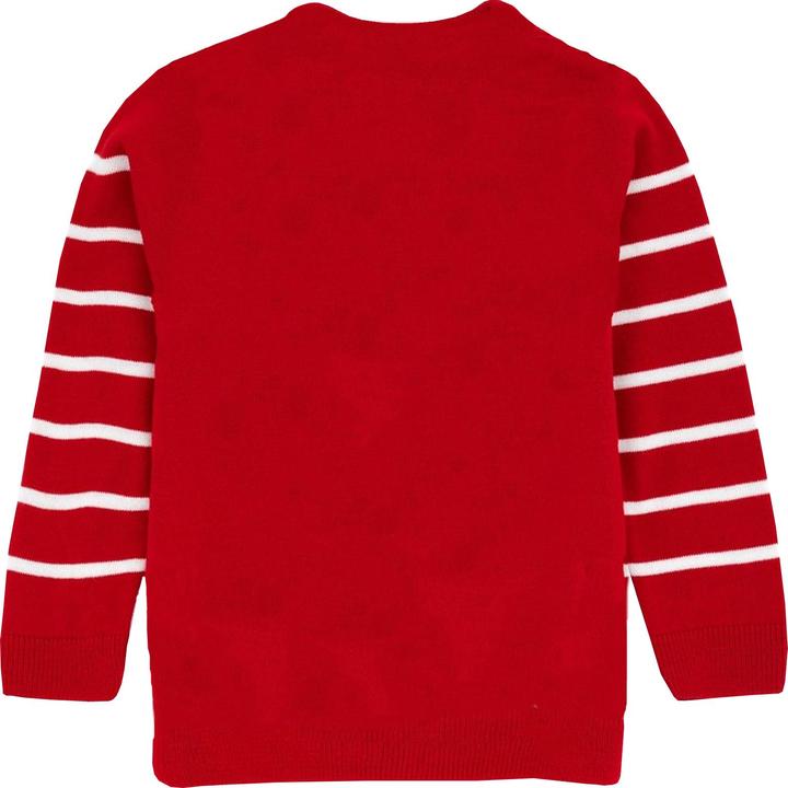 Immagine prodotto Paw Patrol Maglione di Natale lavorato a maglia Skye (110)