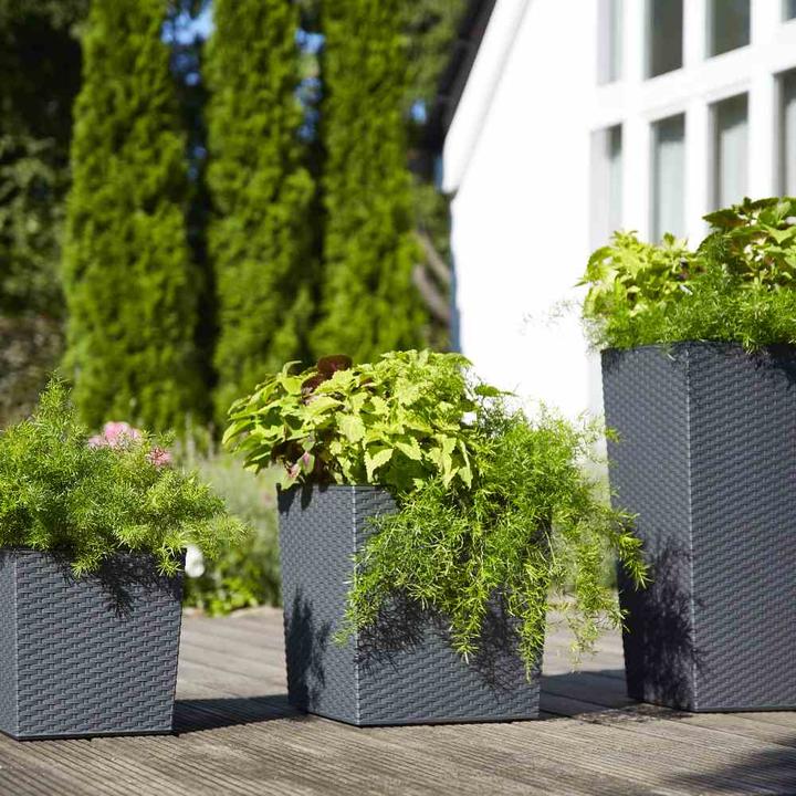 Produktbild Siena Garden Modern (40 cm)