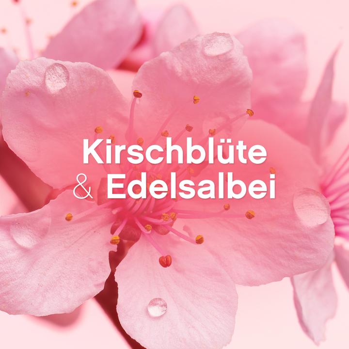 Actual product image Lenor Cherry blossom & noble sage (56 Washing cycles, Flask)