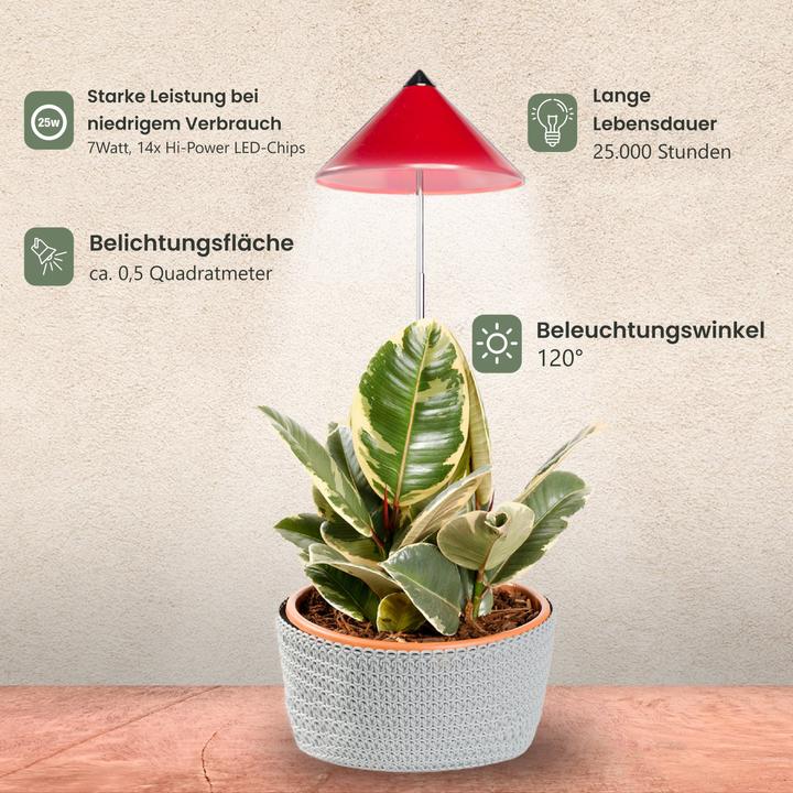 Produktbild Colibri Sunlite (LED, 230 V)
