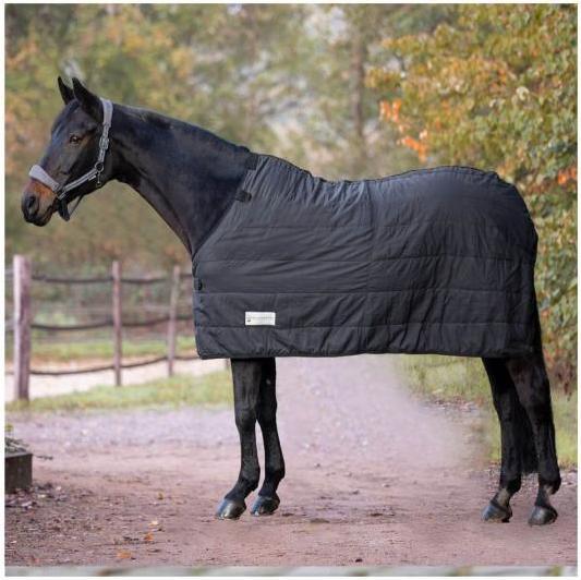 Immagine prodotto Waldhausen Sottocoperta termica per cavalli 200g nero 115 cm (115 cm)