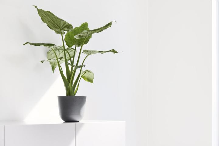 Produktbild Ecopots Oslo Mini (11.50 cm)