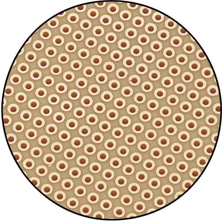 Immagine prodotto Tru Components Griglia di fori del PCB sperimentale (Circuito stampato)