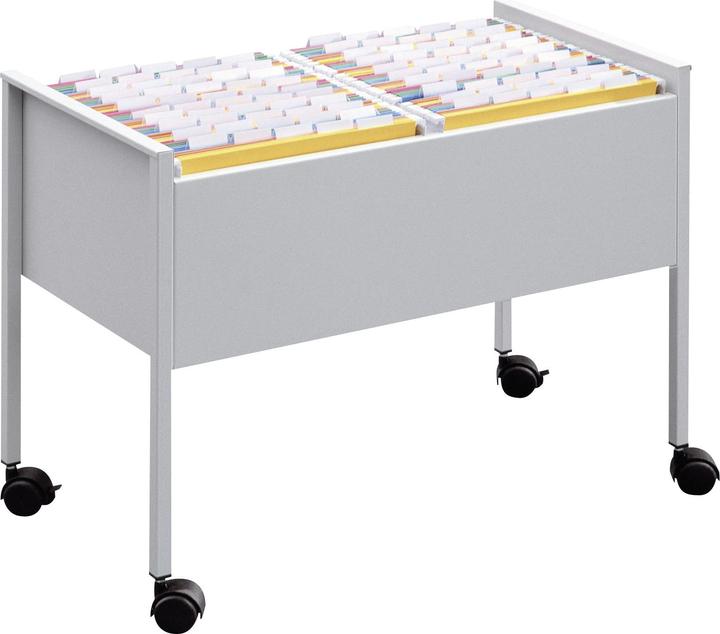 Durable Hängemappenwagen Economy 100 A4 (8 x 31.5 x 80 cm)