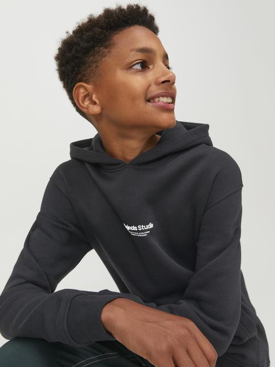 Image du produit Jack & Jones Sweat à capuche (164)