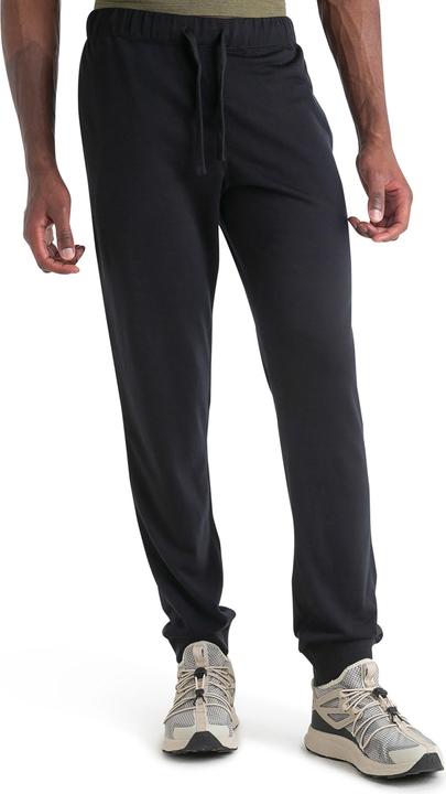 Actual product image Icebreaker Shifter II Pants (M)