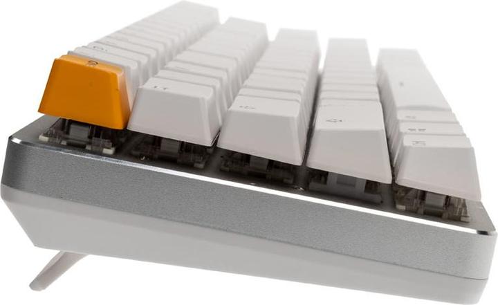 Actual product image Glorious PC Gaming Race White Ice (US, Cable)