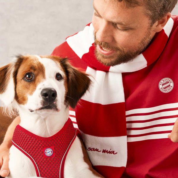 Produktbild Hunter Dog Harness Hilo FC Bayern München M-L - (69257) (Hund, Hundesport)