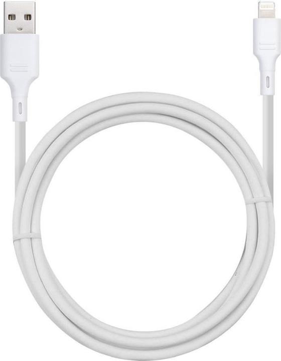 USB / Lightning charging and data transfer cable (1 m, USB 3.2 Gen 1)