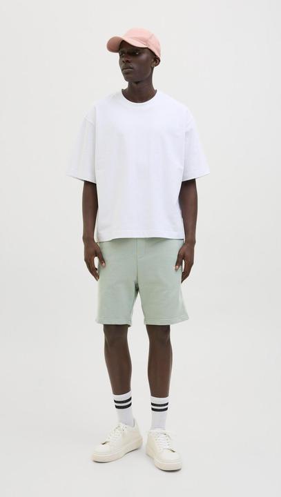 Immagine prodotto Jack & Jones Regular Fit Shorts Shorts (M)