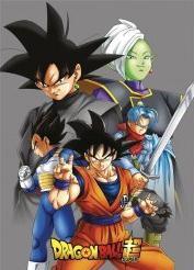 Image du produit Aymax DRAGON BALL SUPER - Plaid Polaire 100% Polyester 100x140cm