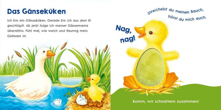 Immagine prodotto Hör mal, wie ich schnattern kann (Mein erstes Streichel-Soundbuch 1) (Tedesco)
