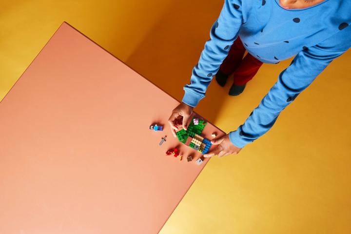 Actual product image LEGO The ambush of the Creeper (21177, LEGO Minecraft)