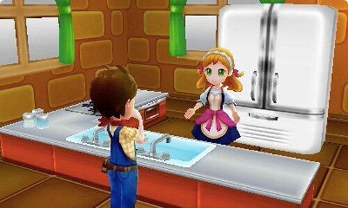 Actual product image Nintendo Harvest Moon: Skytree Village (3DS)