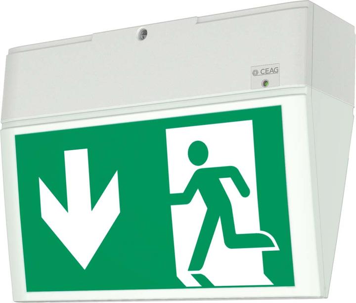 Immagine prodotto Ceag Apparecchio a batteria singola