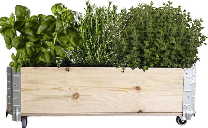 Produktbild Natura Punto Blumenkasten (30 cm)