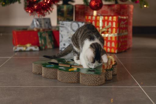 Produktbild Beeztees Weihnachts Kratzspielzeug (Kratzspielzeug Katze)