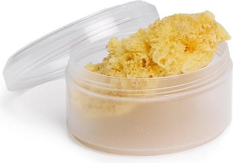 Actual product image Suavinex Sponge
