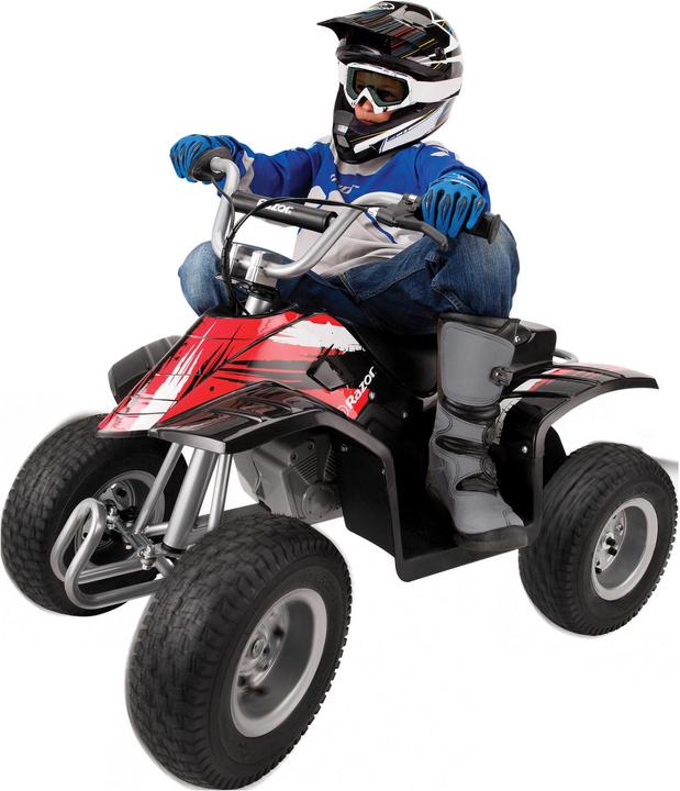 Actual product image Razor Dirt (24 V)