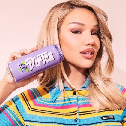 Actual product image Dirtea Busty Blueberry (12 x 50 cl)