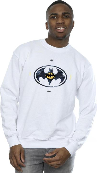Actual product image Mens The Flash Batman Metal Logo Sweatshirt (M)