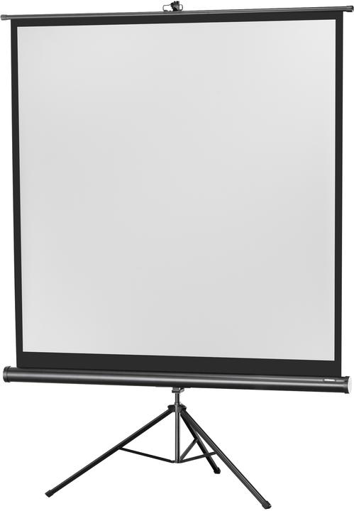 Actual product image Celexon Eco tripod, canvas, 1:1 (62.20", 1:1)