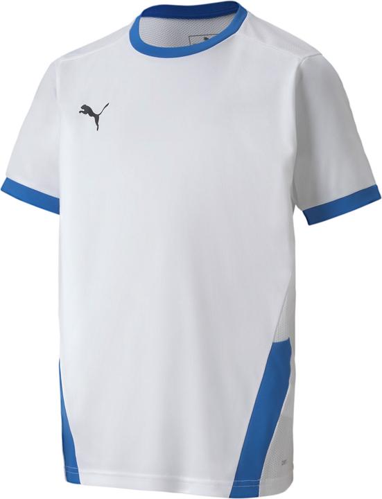 Puma teamGOAL 23 Jersey jr-704160 (140)