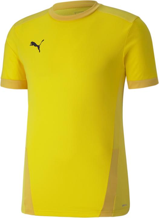 Puma teamGOAL 23 Jersey-704171