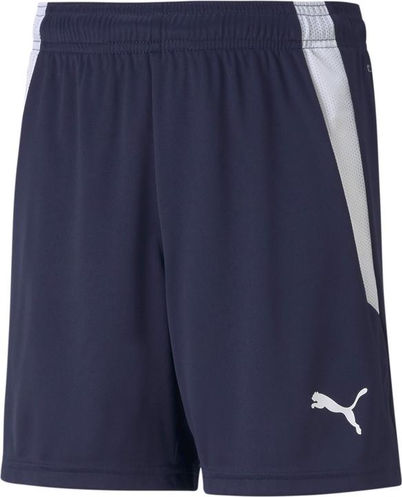 Image du produit Puma short teamLIGA Jr-704931 (176)