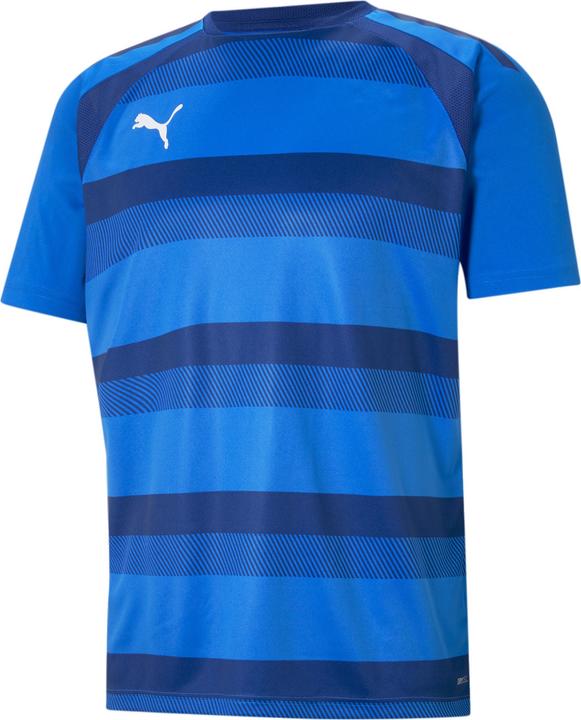 Actual product image Puma teamVISION Jersey-704921 (M)