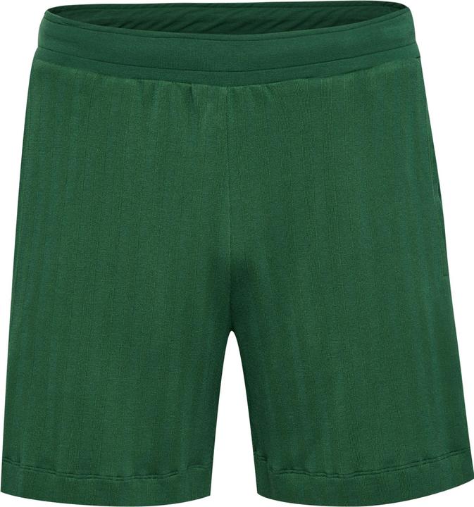 Image du produit hummel Short Hmlarchive Regular (S)