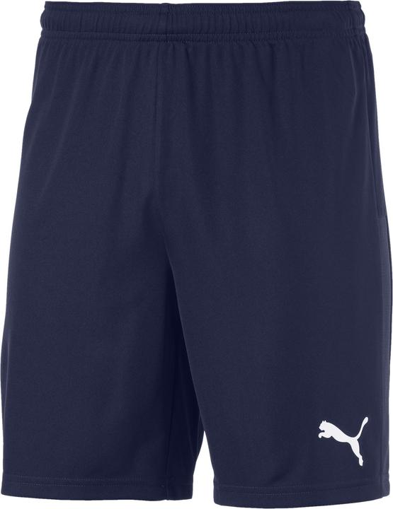 Puma teamGOAL 23 knit shorts-704262 (S)