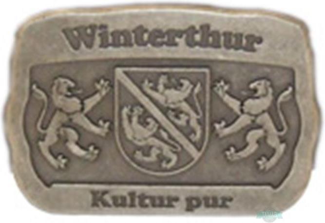 Actual product image Tamar Belt with buckle Winterthur 120cm belt length